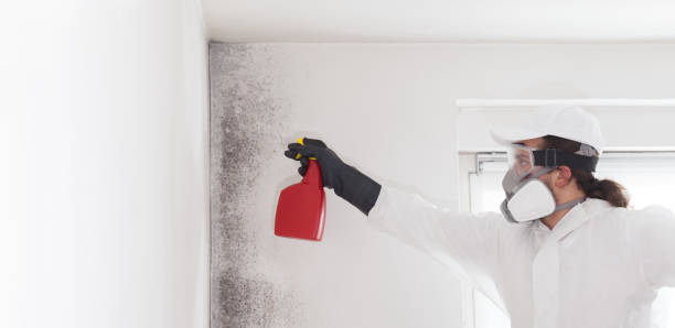 Best Residential Mold Removal  in Midland City, AL